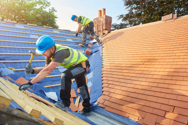 Best Metal Roofing Installation  in Salina, UT